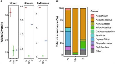 Metal recovery from spent lithium-ion batteries via two-step bioleaching using adapted chemolithotrophs from an acidic mine pit lake